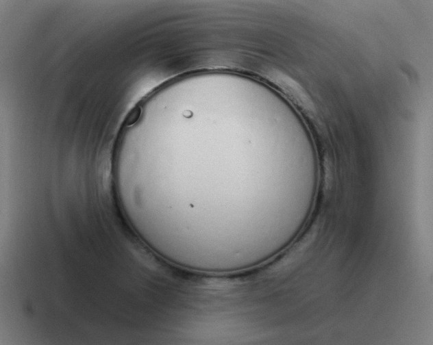 X0000116841226200912312048