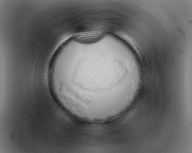 X0000116841227200912312048