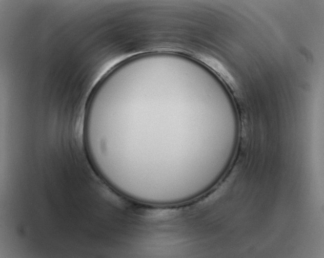 X0000116841228200912312048