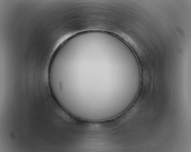 X0000116841230200912312048