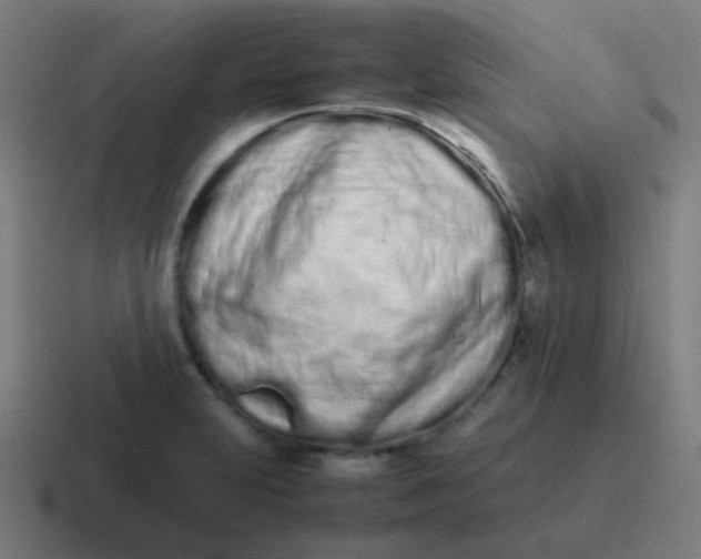 X0000116841231200912312048