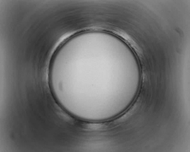 X0000116841232200912312048