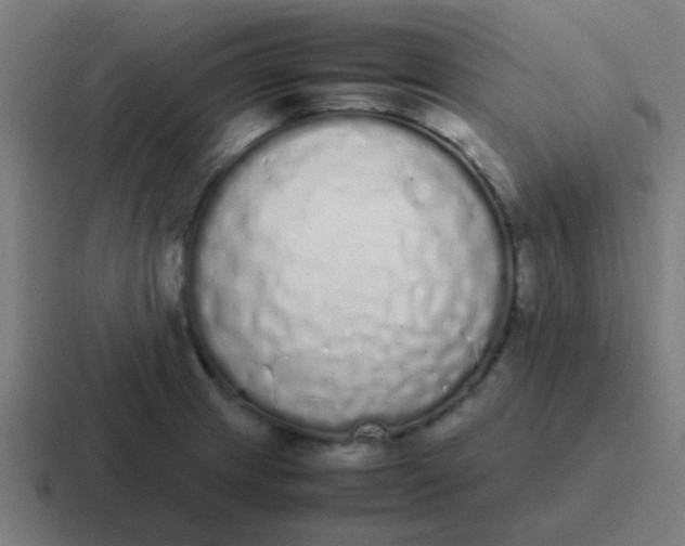 X0000116841233200912312048