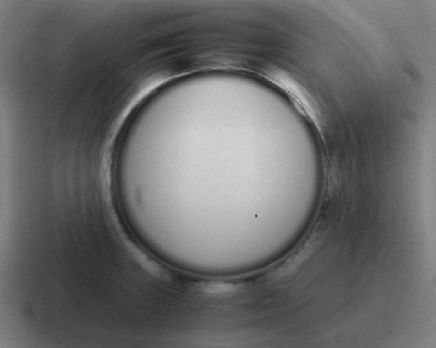 X0000116841235200912312048