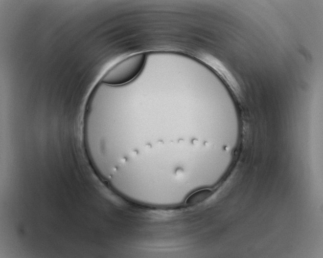 X0000116841236200912312048