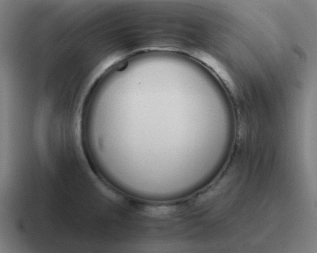 X0000116841237200912312048