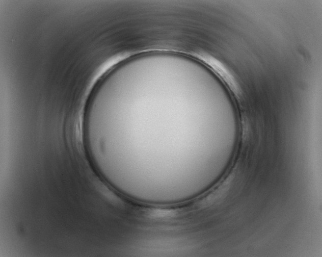 X0000116841238200912312048