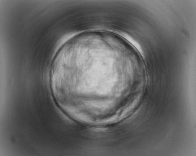 X0000116841239200912312048