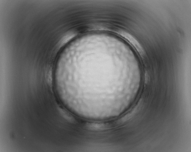 X0000116841241200912312048