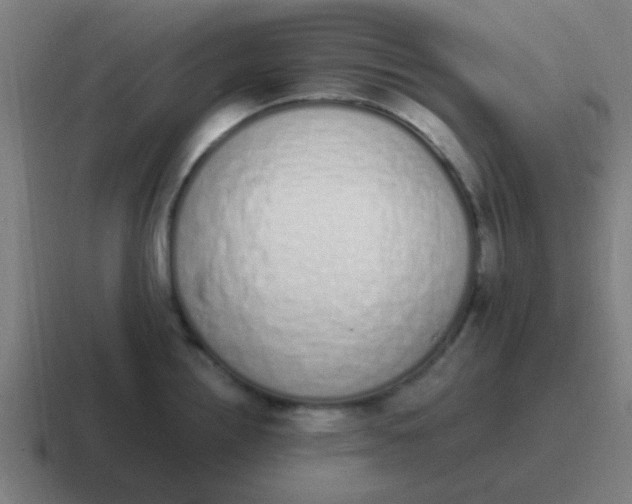 X0000116841242200912312048