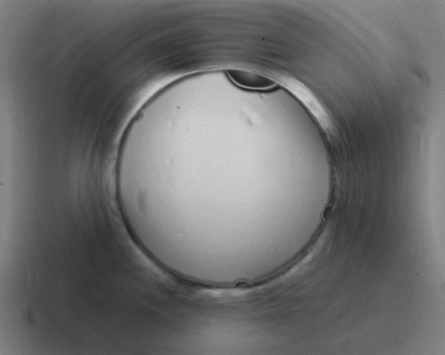 X0000116841244200912312048