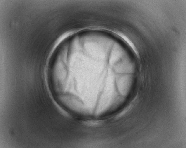 X0000116841245200912312048