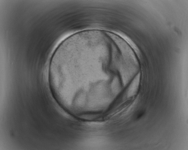 X0000116841246200912312048