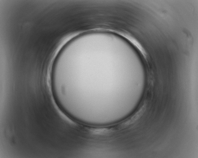 X0000116841247200912312048