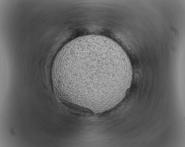 X0000116841249200912312048