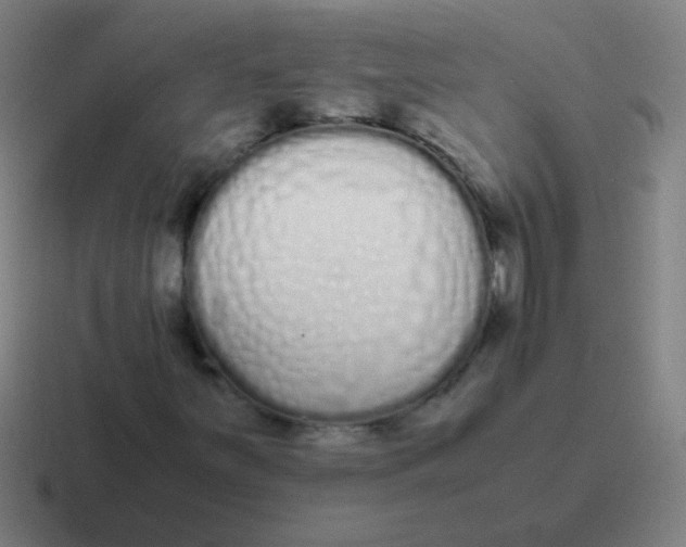 X0000116841251200912312048