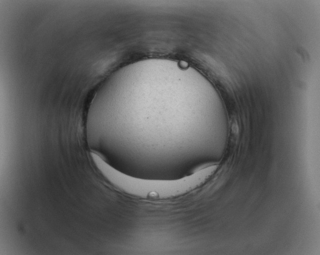 X0000116841252200912312048