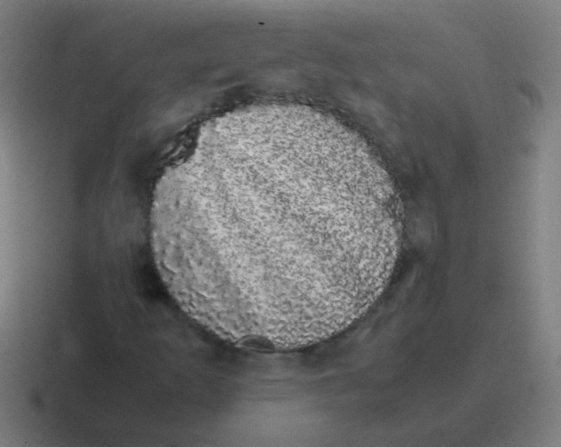 X0000116841253200912312048