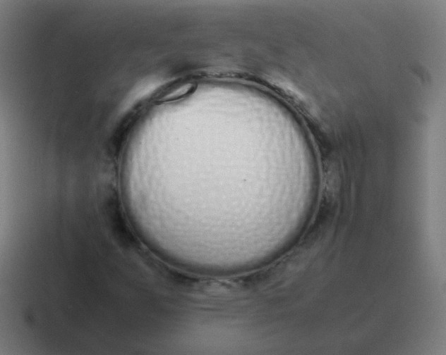 X0000116841255200912312048