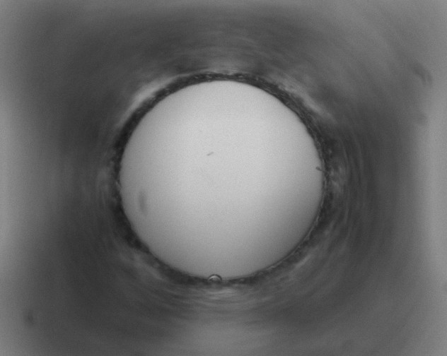 X0000116841256200912312048