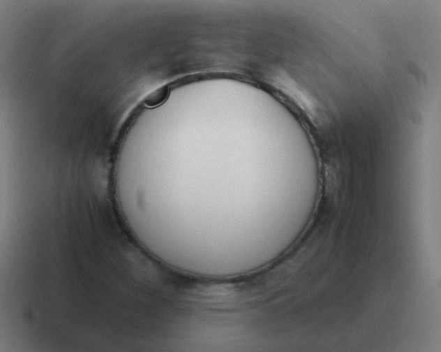 X0000116841260200912312048