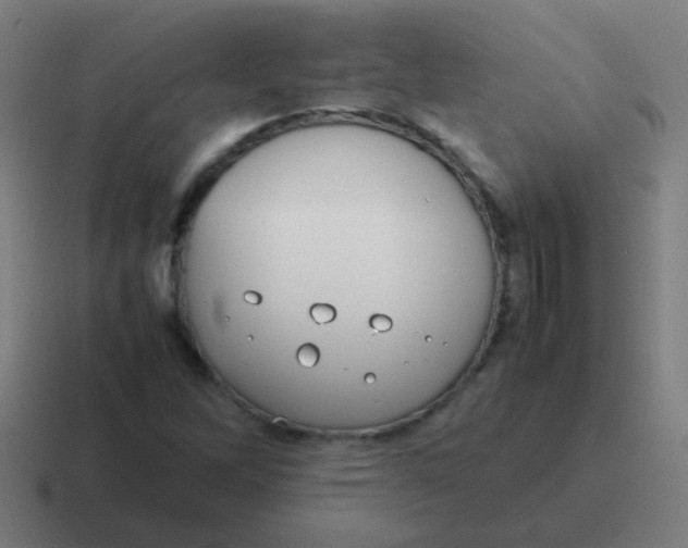 X0000116841262200912312048