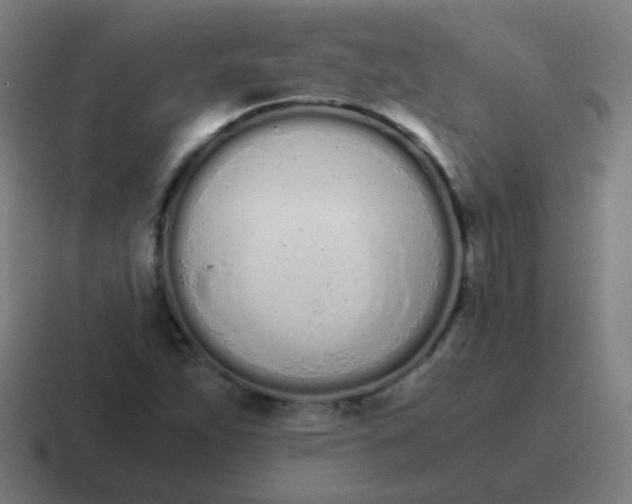 X0000116841263200912312048