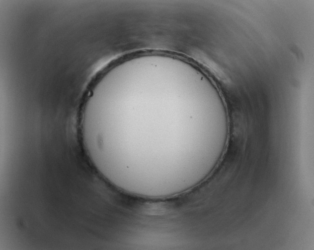 X0000116841264200912312047