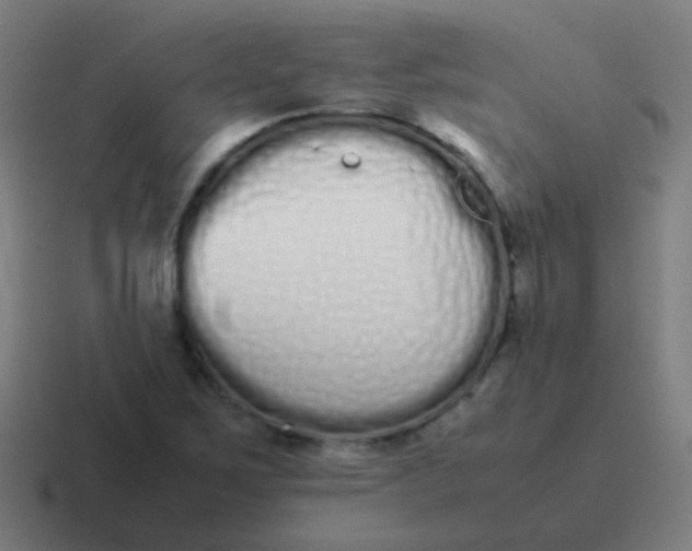 X0000116841267200912312047