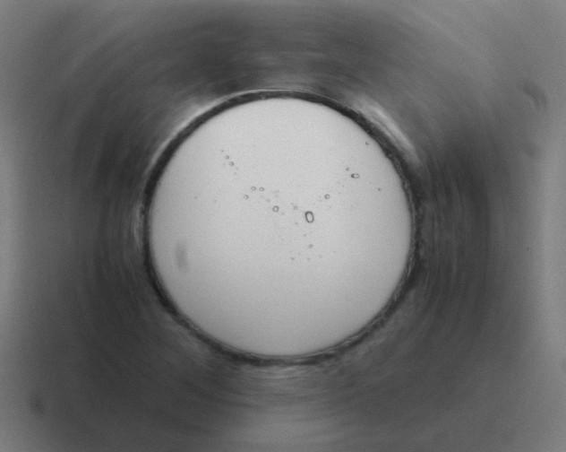 X0000116841268200912312047