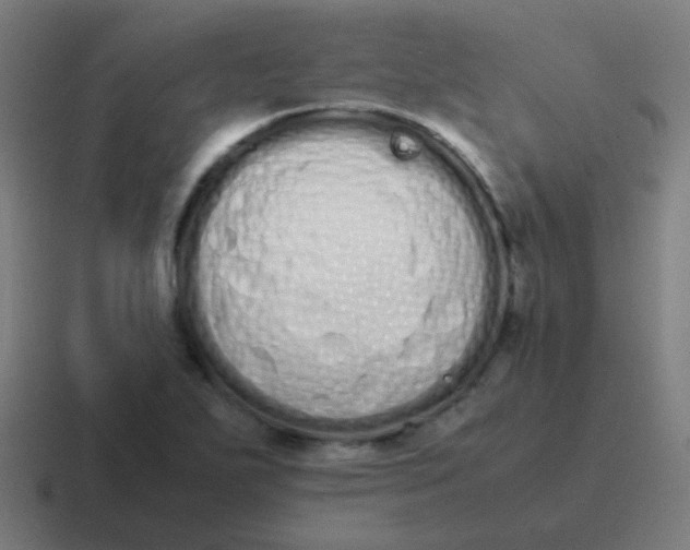 X0000116841271200912312047