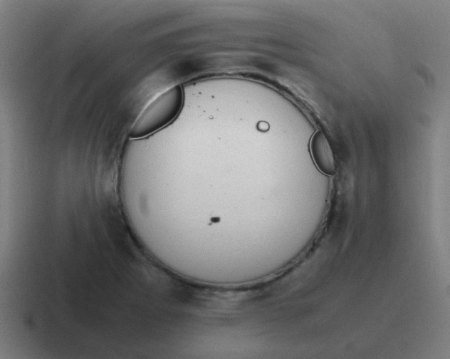 X0000116841273200912312047