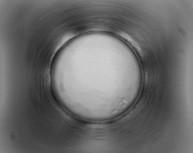 X0000116841274200912312047