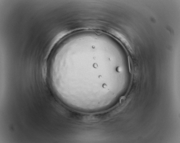 X0000116841275200912312047