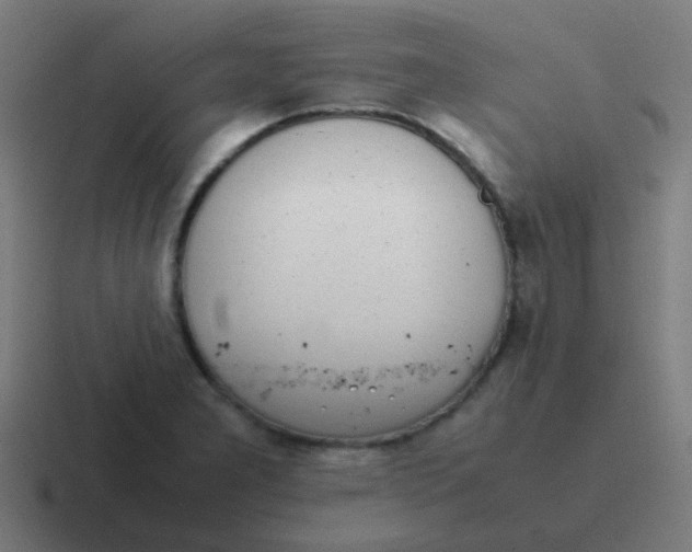 X0000116841277200912312047