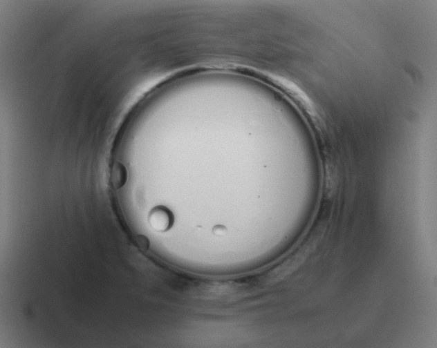 X0000116841279200912312047