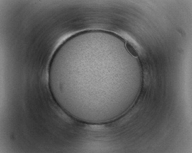 X0000116841280200912312047