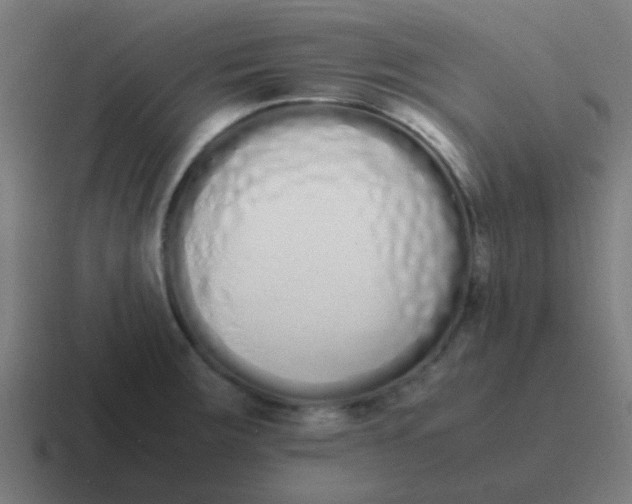 X0000116841283200912312047