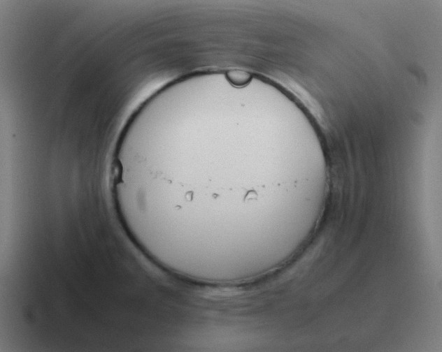 X0000116841285200912312047