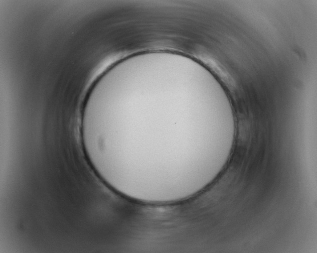 X0000116841286200912312047