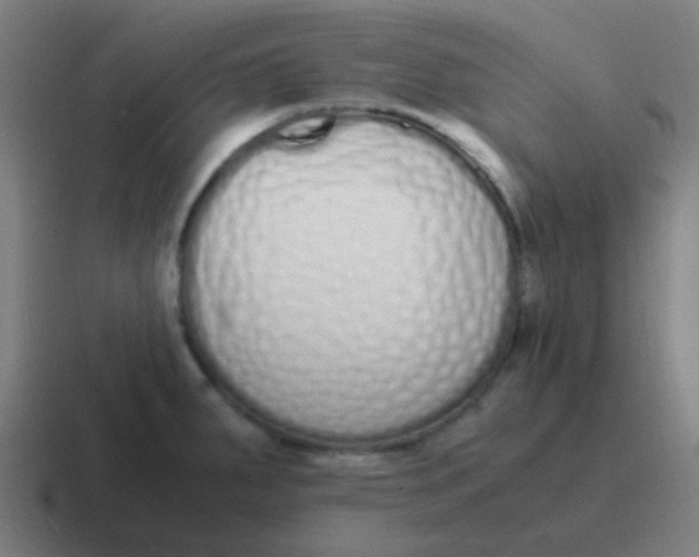 X0000116841287200912312047