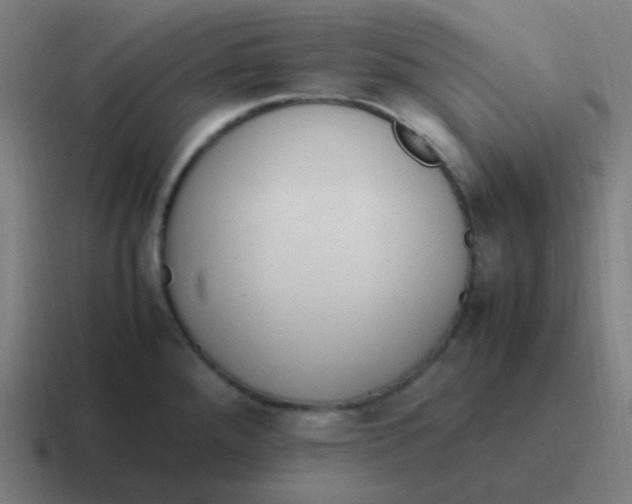 X0000116841288200912312047