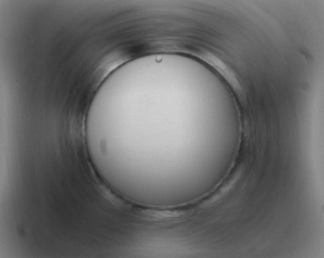 X0000116841289200912312047