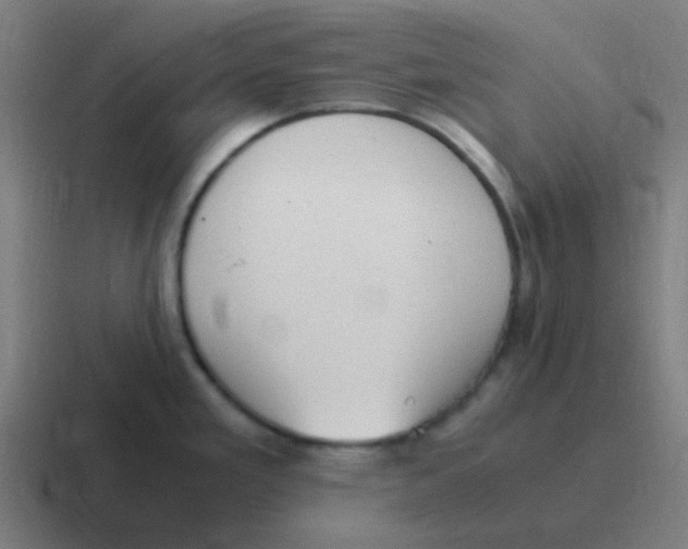 X0000116841293200912312047