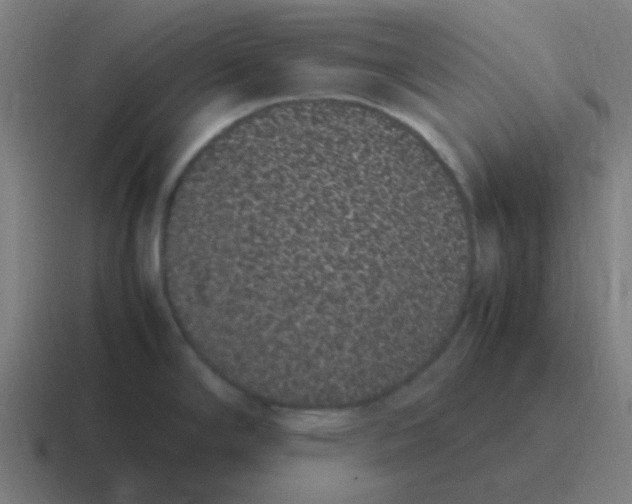 X0000116841294200912312047