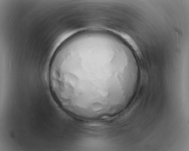 X0000116841295200912312047