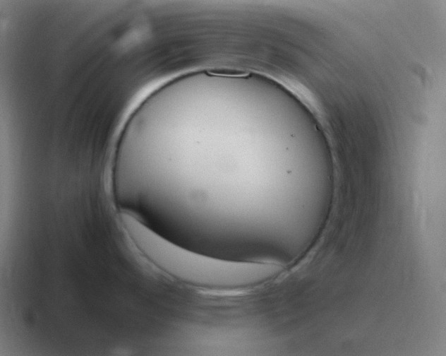 X0000116841296200912312047