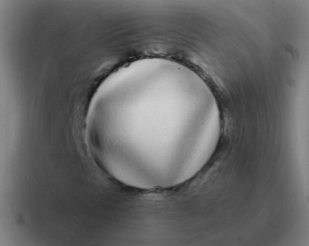 X0000116841297200912312046