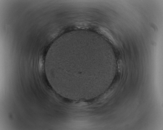 X0000116841298200912312047