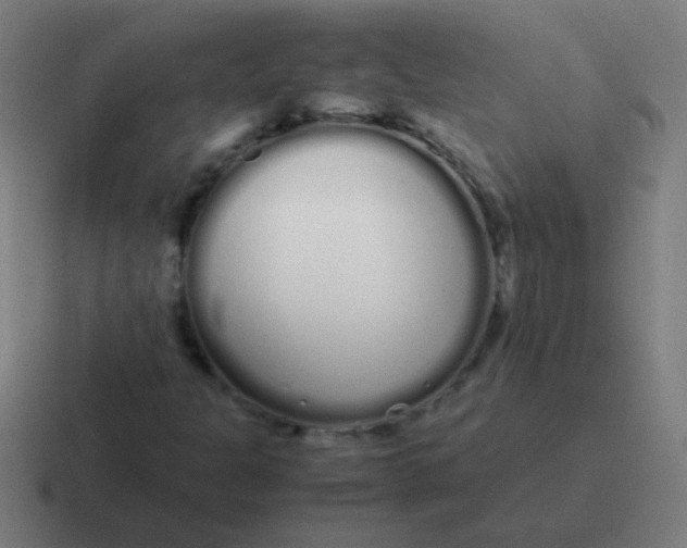 X0000116841301200912312047